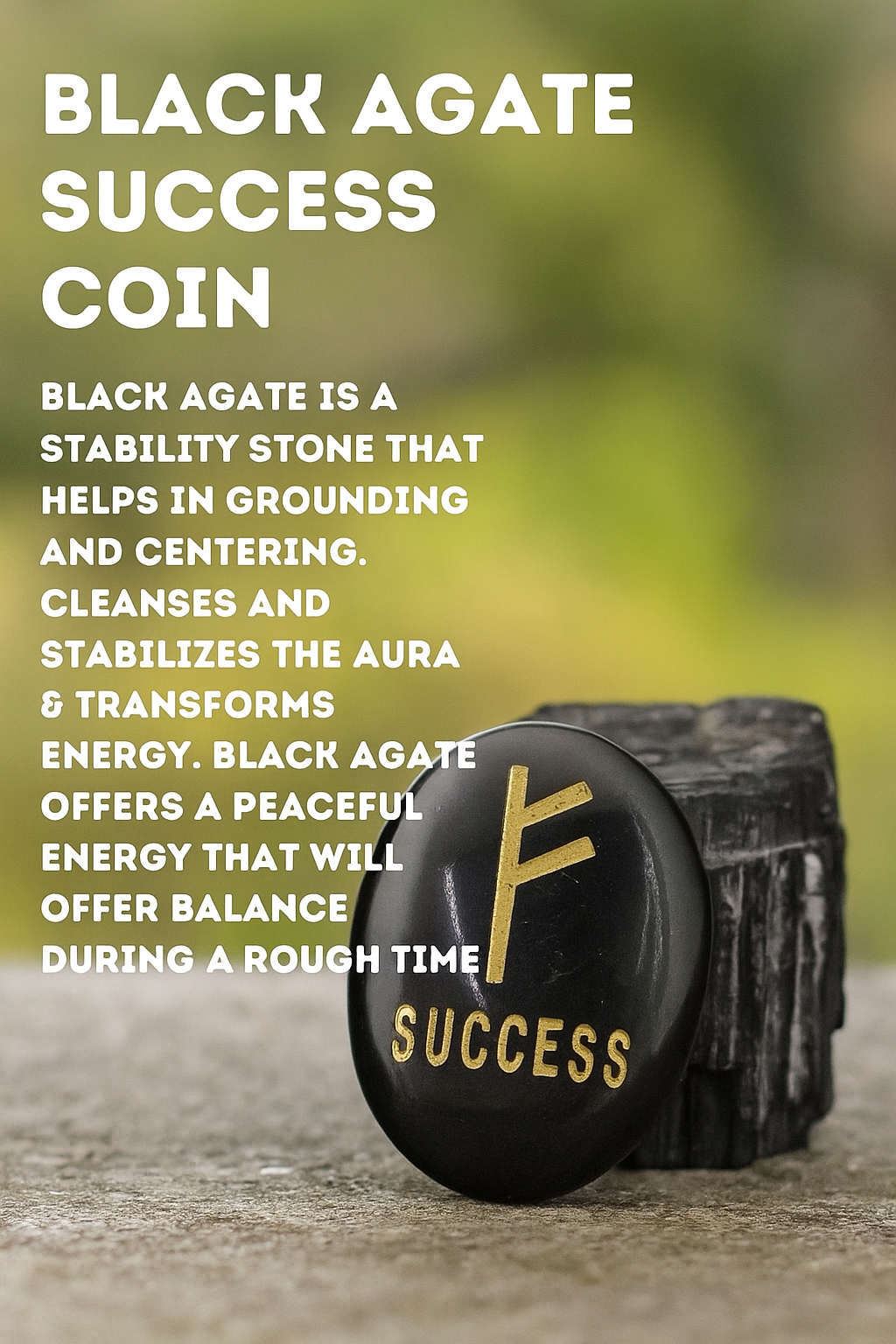 BLACK AGATE SUCCESS COIN