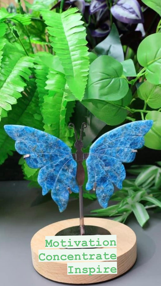 BLUE APATITE BUTTERFLY