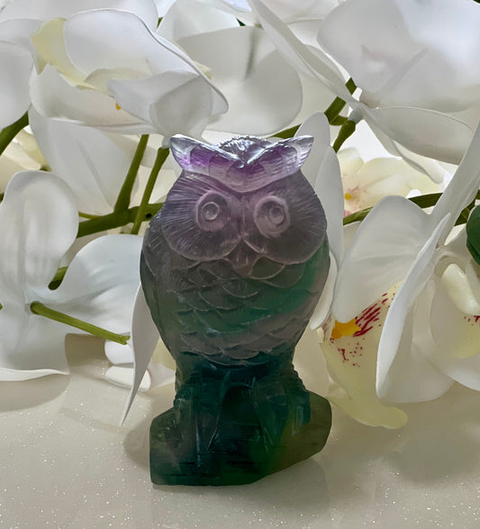 GREEN FLOURITE OWL