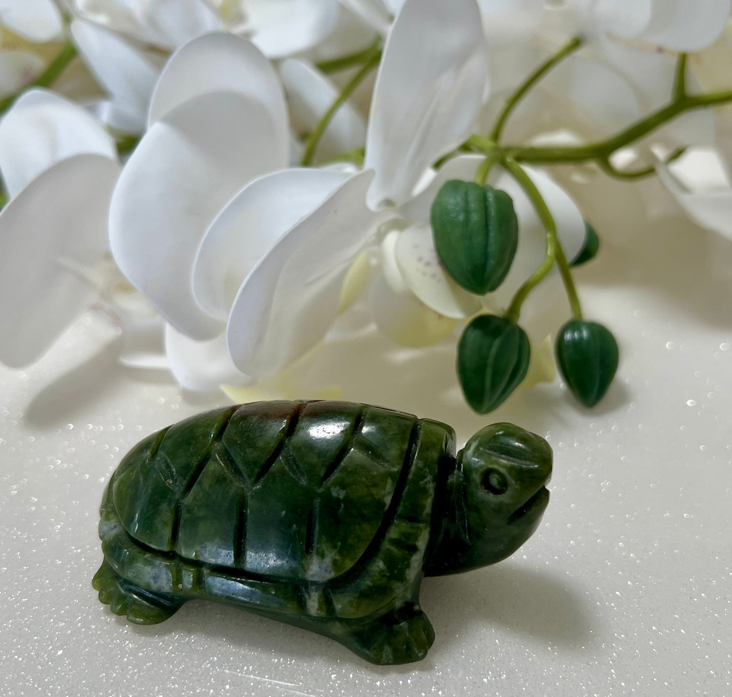 GREEN JADE TURTLE