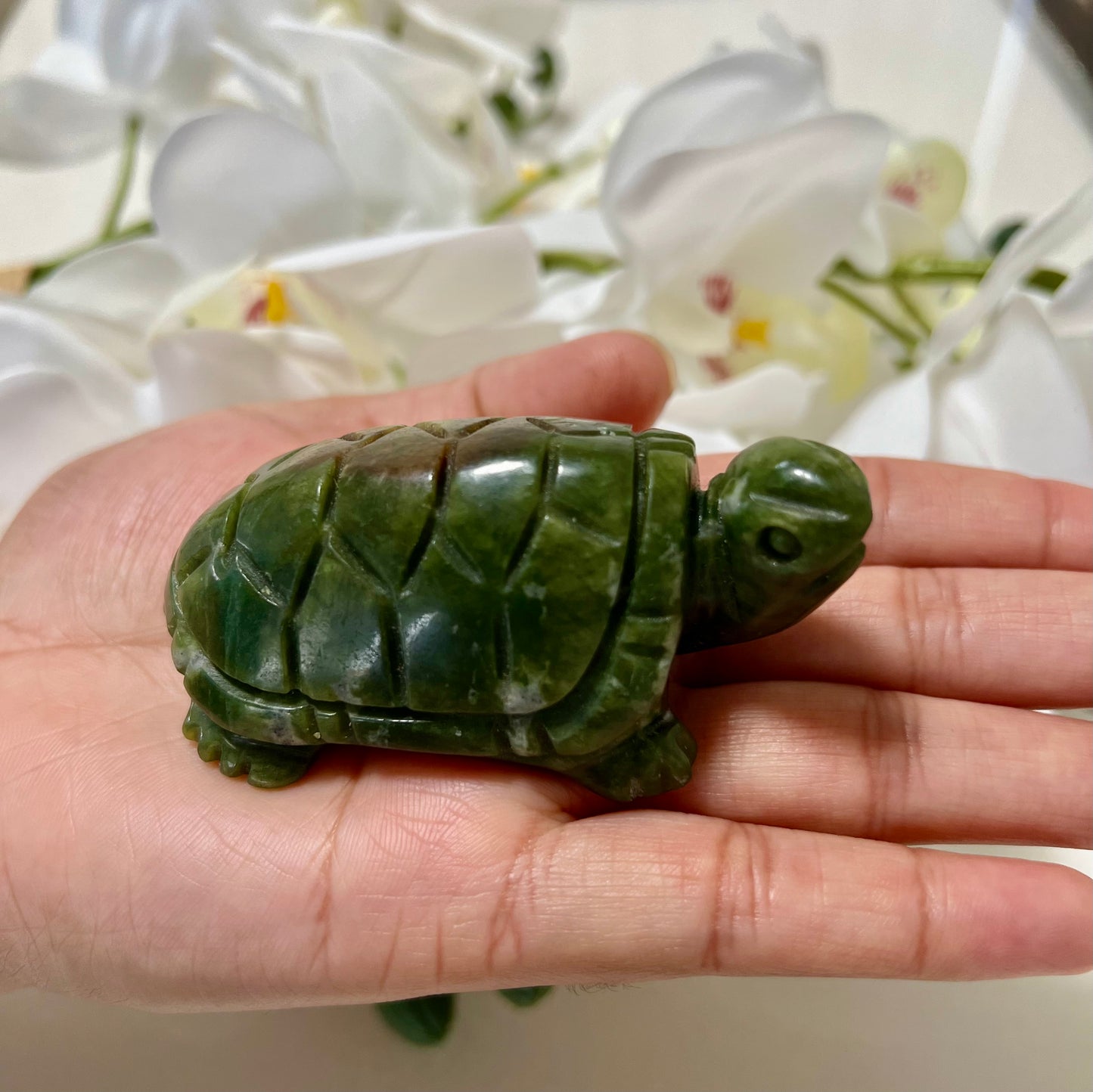 GREEN JADE TURTLE