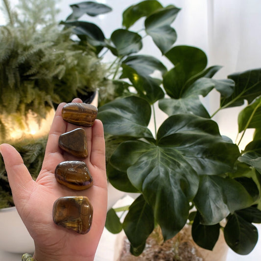 TIGER EYE TUMBLES