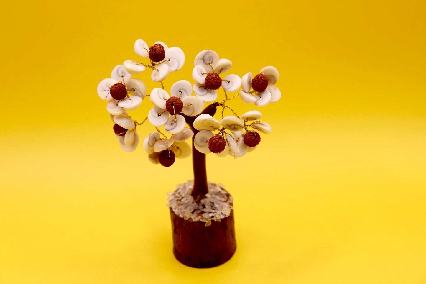 Gomti Chakra and Rudarkshak  tree